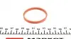 895440 Прокладка коллектора впускного Citroen Berlingo 1.6VTi 09- ELRING підбір по vin на Brocar