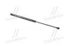 430719013100 Амортизатор багажника VOLKSWAGEN Bora (пр-во Magneti Marelli кор.код. GS0131) MAGNETI MARELLI підбір по vin на Brocar