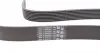 8PK1478 Ремень генератора BMW 5 (F10)/ X5 (E70/F15/F85)/X6 (E71/E72/F16/F86) 08-16 (8PK1478) CONTITECH підбір по vin на Brocar