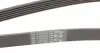 6PK1845 Ремень генератора Ford Mondeo IV 2.0TDCI 07-15/Volvo S80/V70 2.0D/TDi 07-15 CONTITECH підбір по vin на Brocar