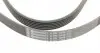 6PK1845 Ремень генератора Ford Mondeo IV 2.0TDCI 07-15/Volvo S80/V70 2.0D/TDi 07-15 CONTITECH підбір по vin на Brocar