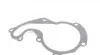 538025610 Помпа воды Ford Connect 1.8DI/TDCI, 55/66/81kw 02- с двойным шкивом INA підбір по vin на Brocar