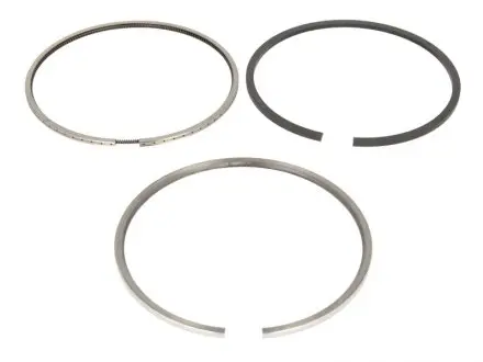 213RS100100N0 Кольца поршневые DAF MX265/300/340/375 D 130.00 (4/3.16/4) (пр-во Mahle) MAHLE / KNECHT подбор по vin на Brocar