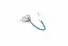 Лампа розжарювання H3 12V 55W  PK22s LongerLife Ecovisio (вир-во Philips)