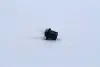 12598CP Лампа розжарювання Bax8,5d/2black12v 1.2w Bax8,5d/2 black(вир-во Philips) PHILIPS підбір по vin на Brocar