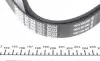 6PK1890 Ремень генератора BMW X5/Ford Focus 1.4/1.6 16V 98- DAYCO підбір по vin на Brocar