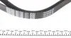 6PK1890 Ремень генератора BMW X5/Ford Focus 1.4/1.6 16V 98- DAYCO підбір по vin на Brocar