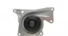 CT1184WP1 Комплект ГРМ + помпа Renault Clio/Kangoo/Megane/Scenic/Dacia Dokker/Duster/Logan 1.5dCi 08-(27x119z) CONTITECH підбір по vin на Brocar