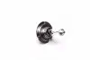 12972LLECOC1 Лампа розжарювання H7 12V 55W PX26d LongerLife Ecovision (пр-во Philips) PHILIPS підбір по vin на Brocar