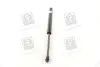 PQC211 Амортизатор багажника CHEVROLET TACUMA; REZZO (U100) (пр-во PARTS-MALL) PARTS-MALL підбір по vin на Brocar