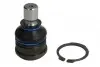 Опора шаровая (передняя/снизу) Ford Fiesta VI 08- 716 010 0019