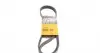 Ремінь генератора Citroen Jumpy 2.0HDI 10- 6PK1244