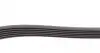 6PK1244 Ремень генератора Citroen Jumpy 2.0HDI 10- CONTITECH підбір по vin на Brocar