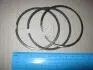 Кільця поршневі VW Caddy/Golf/T4 1.9TDI/2.4D (79.50mm/STD) (1.75-2-3) 800072510000