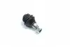 Опора кульова MB SPRINTER 208-416, VW LT 28-46 95-06 передн. (RIDER) RD.993518875