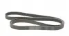 7PK2535 Ремінь генератора Audi A8 3.7/4.2 quattro 02-10/VW Phaeton 4.2 V8 4motion 03-16 CONTITECH підбір по vin на Brocar