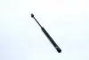 Амортизатор багажника AUDI 8 (пр-во Magneti Marelli кор.код. GS0274) 430719027400