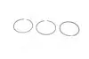 Кільця поршневі STD 94,0 2*2*4 Ford/Peugeot 2.3D2.5D 82- 800004110000