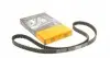 CT1203 Ремень ГРМ Citroen Berlingo/С3/С4/Jumpy 1.6 HDI 08-/Ford Focus/Fiesta/Mondeo 1.5TDCi 15- (141x20) CONTITECH підбір по vin на Brocar