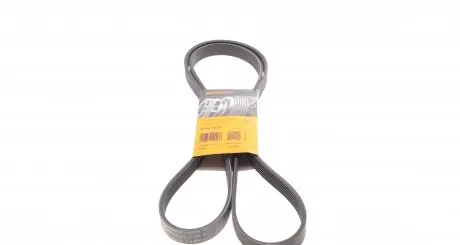6PK1873 Ремінь генератора Audi A4/A6/A8/Chevrolet Aveo/Skoda Fabia/Rapid 00- CONTITECH підбір по vin на Brocar