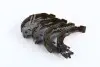 Колодки тормозные барабанные задние TOYOTA AVENSIS (пр-во ASHIKA) 55-02-231