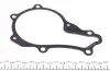 538005310 Помпа воды Citroen Nemo/Peugeot Bipper 1.4HDI, z=21 INA підбір по vin на Brocar