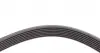 7PK1705 Ремінь генератора Renault Megane/Laguna/Scenic 2.0 dCi 07-/Peugeot 508 2.0HDI 18- CONTITECH підбір по vin на Brocar