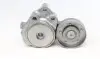 534037410 Натяжитель ремня генератора VW Bora/Golf/Skoda Octavia 1.4-1.6 96-05 (натяжной) (76x26) INA підбір по vin на Brocar