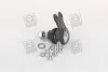 JBJ702 Палець кульової SEAT Cordoba,ibiza,skoda Fabia,vw POLO (вир-во TRW) TRW підбір по vin на Brocar
