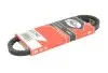 Ремінь генератора Fiat Ducato/Citroen Jumper 1.9D/2.0 94-01 6261MC