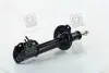 RD2870333419 Амортизатор подв. CHEVROLET Lacetti 04- задн.прав. газ. (RIDER) RIDER підбір по vin на Brocar