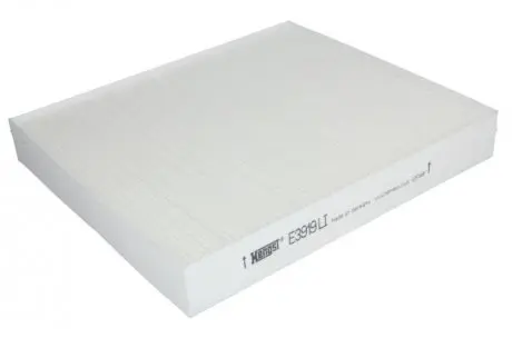 E3919LI Фильтр салона VW POLO IV, V 01-, SKODA RAPID 11-(пр-во HENGST) HENGST FILTER подбор по vin на Brocar