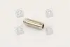 012582 Направляющая клапана IN/EX RENAULT F3P/F3R/F8Q (пр-во Metelli) METELLI підбір по vin на Brocar