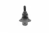 3046103 Опора кульова (передня/знизу) Ford Focus II 1.4-2.0TDCi 04-12/C-Max 07-10/Volvo C30/C70/S40 04- LEMFORDER підбір по vin на Brocar