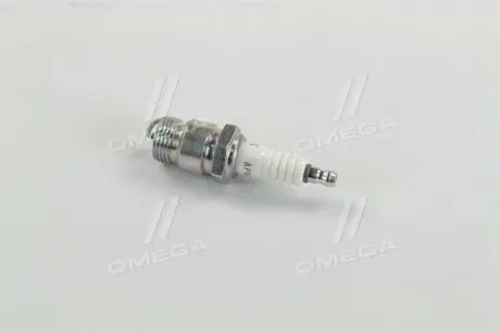 AP6FS Свеча зажигания FORD CAPRI, TRANZIT 1.3-2.0 78-87 (пр-во NGK) NGK подбор по vin на Brocar