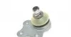 825010510 Опора кульова (передня/знизу) Ford Fiesta/Fusion 1.2-1.6 01-12 FAG підбір по vin на Brocar