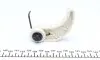 551007510 Планка успокоителя цепи насоса масляного VW Caddy III 1.9/2.0 TDI 04-10 INA підбір по vin на Brocar