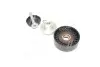 331316170021 Ролик генератора BMW 3 (E46) 1.6-1.8i 97-05 (паразитный) (70х26) MAGNETI MARELLI підбір по vin на Brocar