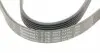 6PK1502EXTRA Ремень генератора Ford Transit Connect/Focus/Fiesta 1.0 EcoBoost 13- CONTITECH підбір по vin на Brocar
