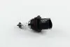 Лампа накалу HB5 12V 65/55W PX29t HALOGEN (вир-во Narva)