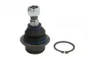 Опора шаровая (передняя/снизу) Ford Transit V184/V347 00- /Connect 02- (усиленная) 716 010 0012/HD