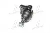 CBKK6 Опора шаровая KIA BESTA,MAZDA E 2000,2200 нижн. (пр-во CTR) CTR підбір по vin на Brocar