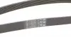6PK1880 Ремень генератора Audi A4/A6/A8 2.4/2.6/2.8 95- CONTITECH підбір по vin на Brocar