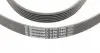 6PK1880 Ремень генератора Audi A4/A6/A8 2.4/2.6/2.8 95- CONTITECH підбір по vin на Brocar