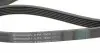 6PK1905 Ремень генератора Opel Vectra B 2.2DTI 00-02/Audi 100/80/A6/A8 2.6/2.8 91-96 CONTITECH підбір по vin на Brocar