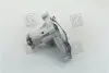 Насос водяной HYUNDAI ACCENT, KIA CERATO, RIO 04-  (RIDER) RD.150167311