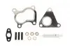 Комплект прокладок турбіни Renault Clio II/Megane II/Kangoo 1.5DCI 01- 714.860