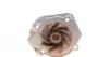 CT1115WP1 Комплект ГРМ + помпа Fiat Doblo/Fiorino 1.2-1.4 01- (22x129z) CONTITECH підбір по vin на Brocar