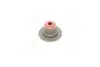 Сальник клапана (впуск/випуск) Renault Trafic II/Renault Kangoo 01- (5.5x11/28x16.5) 50-307243-70