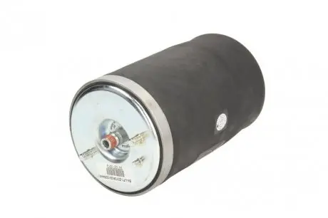 40221618 Подушка пневмопідвіски (ззаду) BMW X5 00-06 (R) BILSTEIN підбір по vin на Brocar